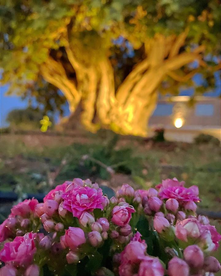 Carrua Konuk evi Marzamemi Dış mekan fotoğraf