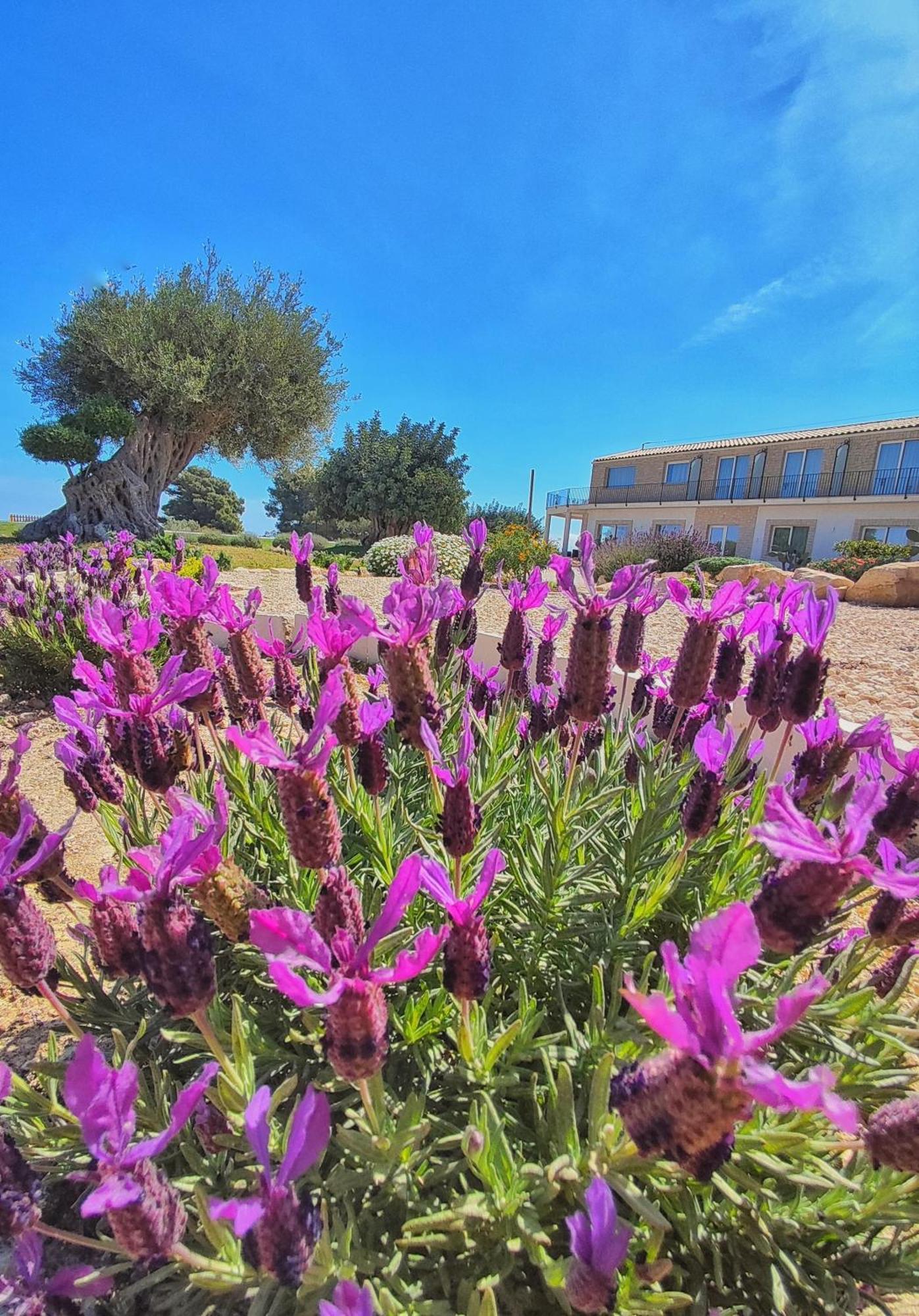 Carrua Konuk evi Marzamemi Dış mekan fotoğraf